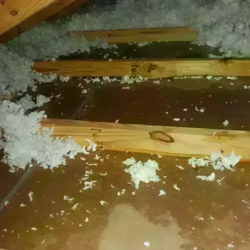 Attic Water Damage in Burwell, NE